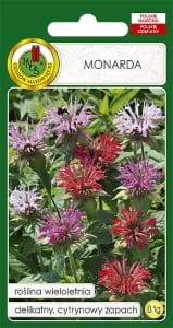 Nasiona-PNOS---nasiona-kwiatow---Monarda-mieszana