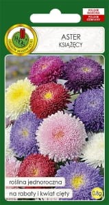 Nasiona-PNOS---Nasiona-kwiatow---aster-ksiazecy-mix