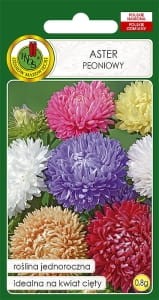 Nasiona-PNOS---Nasiona-kwiatow---aster-peoniowy-mix